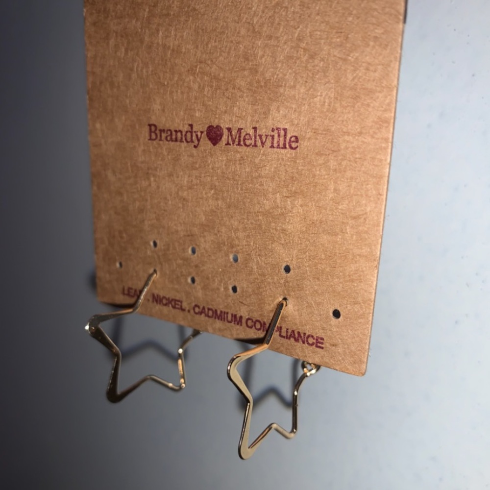 ‼️FINAL PRICE‼️ Brandy Melville Earrings - Picture 2 of 2